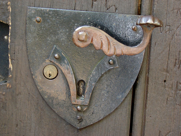 DSC00074 (700x525, 180Kb)