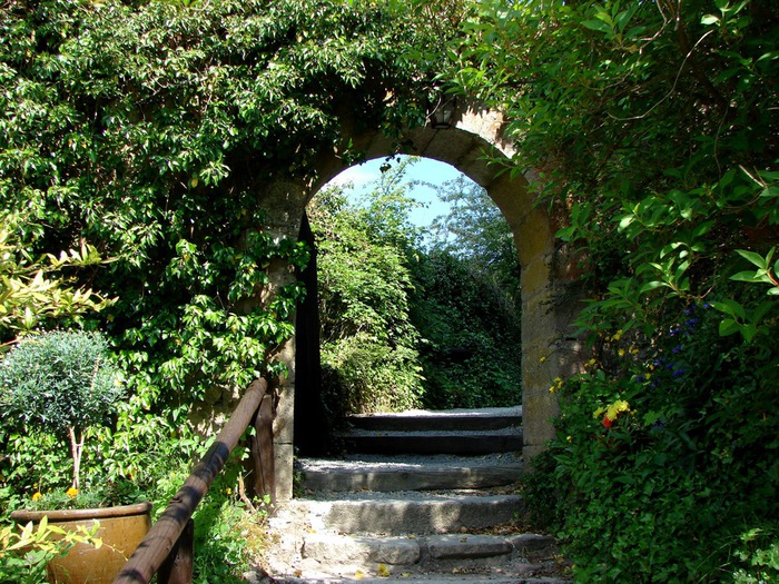 DSC00075 (700x525, 227Kb)