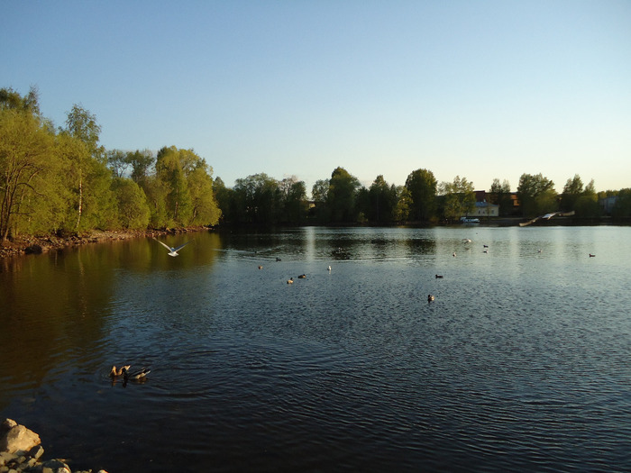 DSC00862 (700x525, 113Kb)