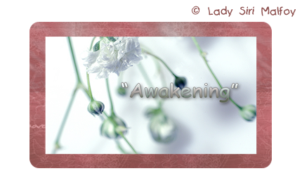 Preview_of (430x270, 131Kb)