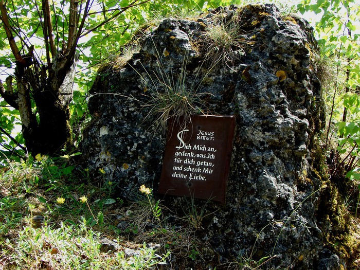 DSC00272 (700x525, 218Kb)