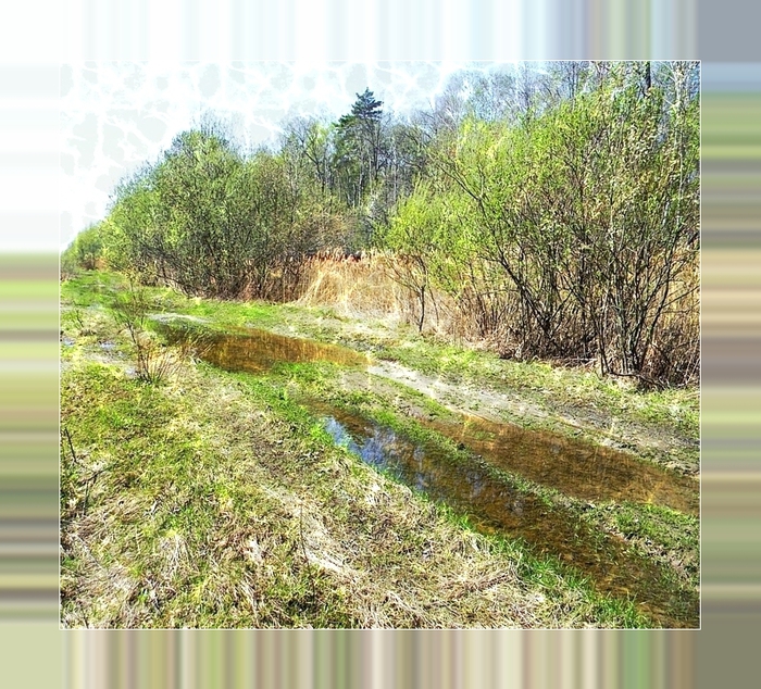 4344169_1304642634972533 (700x634, 379Kb)