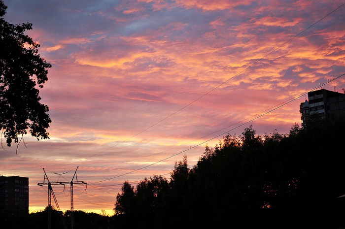 _DSC0606 (700x465, 104Kb)