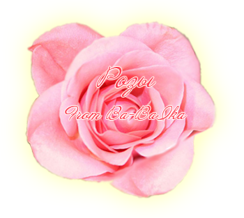 pinkrose1152x864 (350x313, 122Kb)