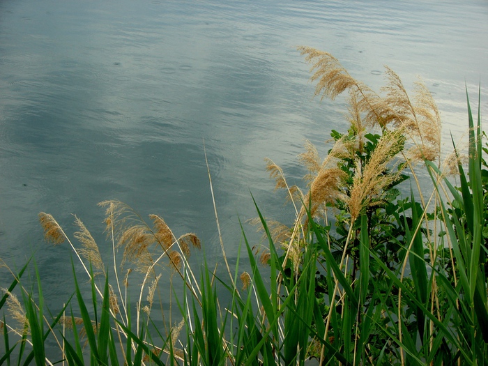 DSC00011 (700x525, 203Kb)