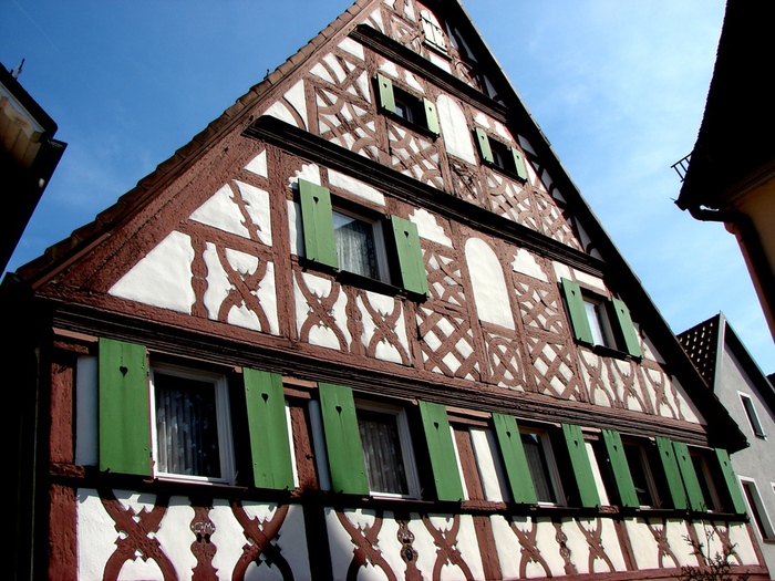 DSC00066 (700x525, 220Kb)