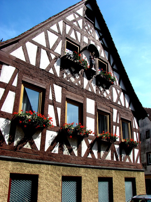 DSC00067 (525x700, 208Kb)