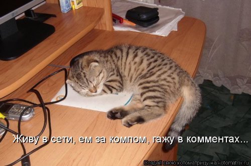    (500x332, 38Kb)
