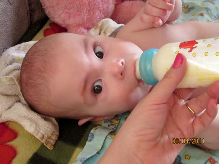 IMG_0025 (700x525, 159Kb)