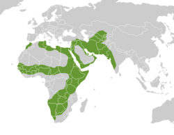 4197026_250pxCaracal_distribution (250x194, 9Kb)