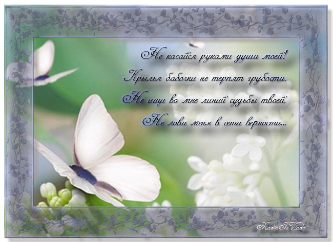 74601147_3052666_Belyebabochki3547 (650x473, 571Kb)