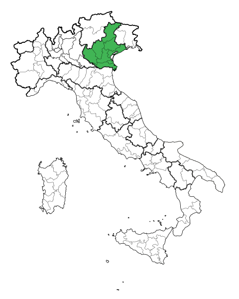 480px-Map_Region_of_Veneto.svg (480x600, 48Kb)
