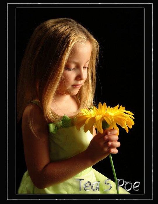 65317938_2fc987691ddc (542x699, 52Kb)