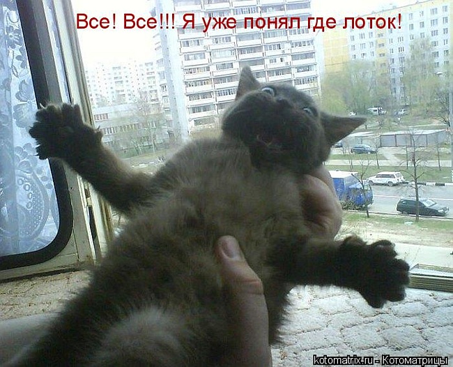 0b142cfccd5cfc8b66585f9f3ba71a4f (650x526, 154Kb)