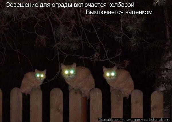 0b1441bf7f9abaa76bca6fd6d0c368c1 (600x427, 31Kb)