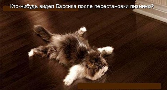 0b141254cbd2d48b872ef919adf09fd5 (650x351, 71Kb)