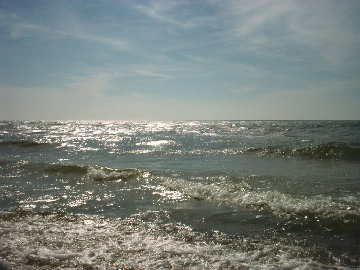 3551389_sea_natura045 (700x525, 135Kb)