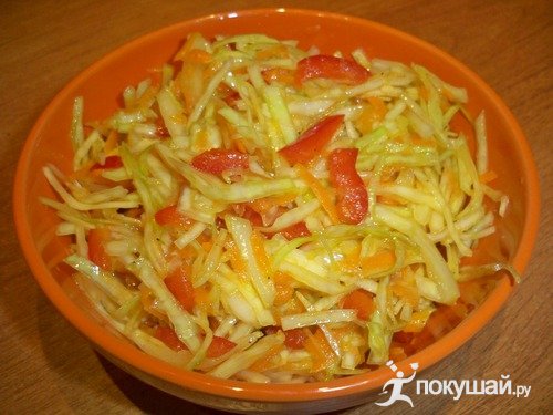 1299220236_salat-final (500x375, 47Kb)