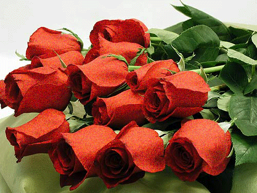 0_5bc56_2e79d987_orig.jpg (500x375, 258Kb)