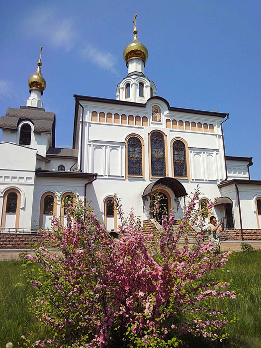 DSC03063-1 (525x700, 164Kb)