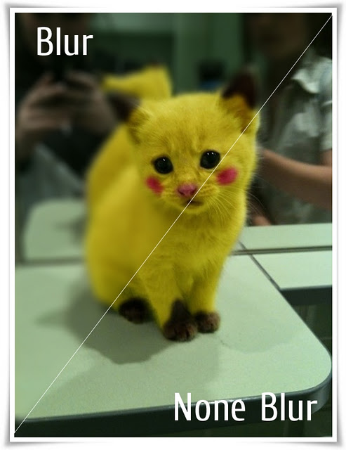 3686296_Pikachu (493x640, 56Kb)