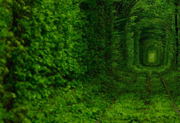 tunnel-of-love-2 (700x476, 68Kb)