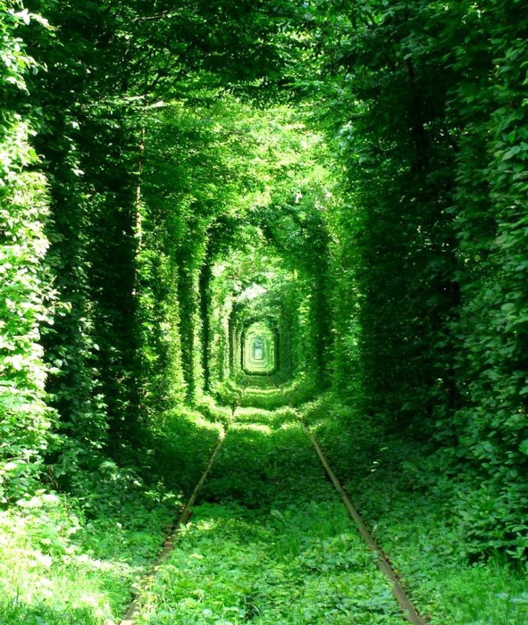 tunnel-of-love-5 (591x700, 215Kb)