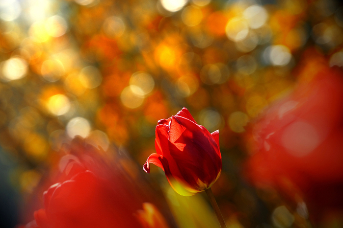 &A7S5c5X7K412c5252E7ccWSAccr1xdd8_orig (700x466, 315Kb)