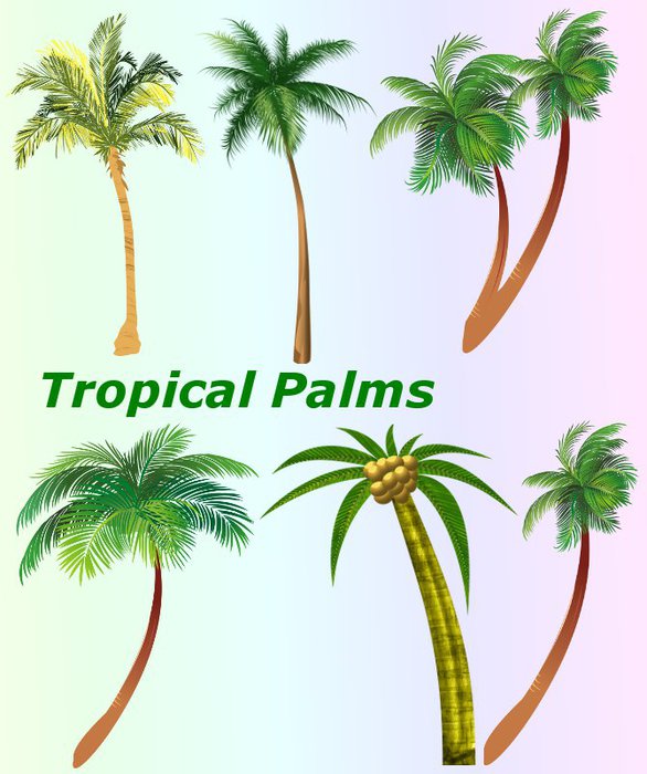 3291761_01Tropical_Palms (586x700, 74Kb)