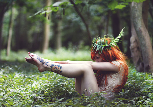 4138790_82595452_large_tumblr_lxs2urK78l1qkktkno1_500 (500x350, 107Kb)