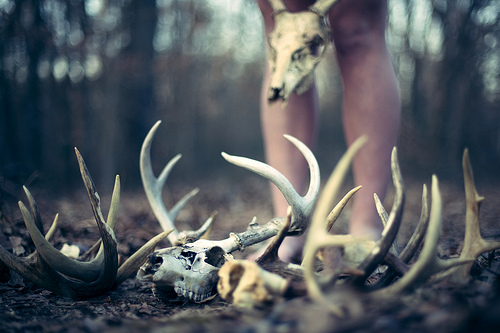4138790_tumblr_lttvuqtq441qzi9p6o1_500 (500x333, 106Kb)