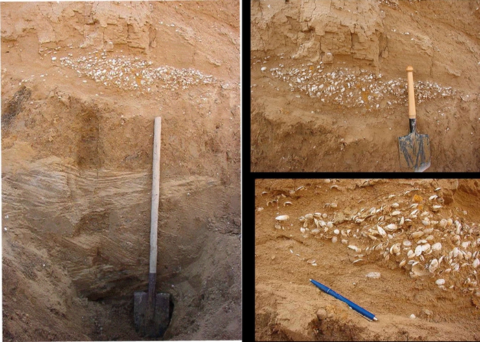 4316166_manych_sediments (700x498, 340Kb)