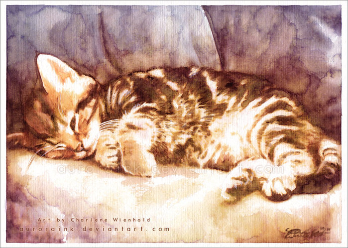 cat_nap_by_auroraink-d39ysrx (700x498, 118Kb)