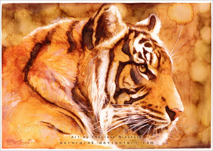 tiger_by_auroraink-d3b6ism (700x496, 200Kb)