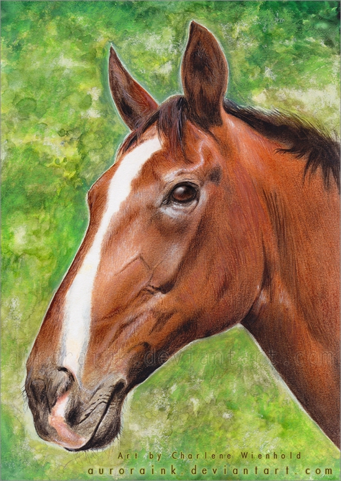 1307483894_leda___horse_painting_by_auroraink-d3ib3bq (496x700, 332Kb)
