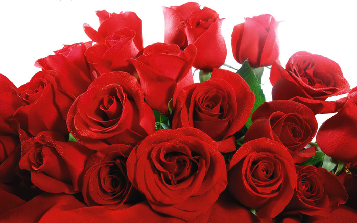 Red_Valentines_Roses (700x437, 119Kb)