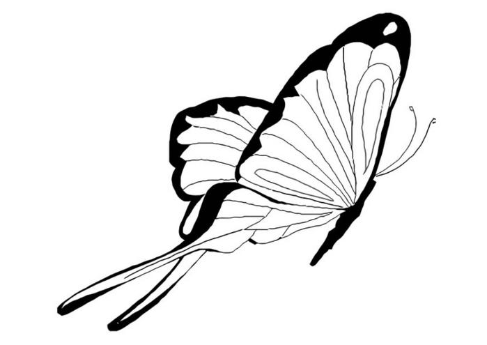 butterfly-coloring-pages-276 (700x495, 67Kb)