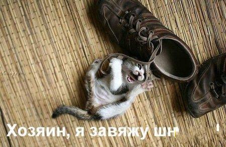 4c653ce65bb180b1ebd0ded34f78a0fc_full (450x292, 38Kb)