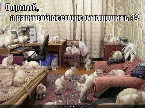 kak-kseroks-otklyuchit-_1319067858 (500x375, 49Kb)