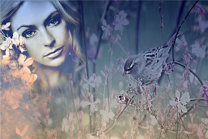 4312926_1103200 (700x467, 360Kb)