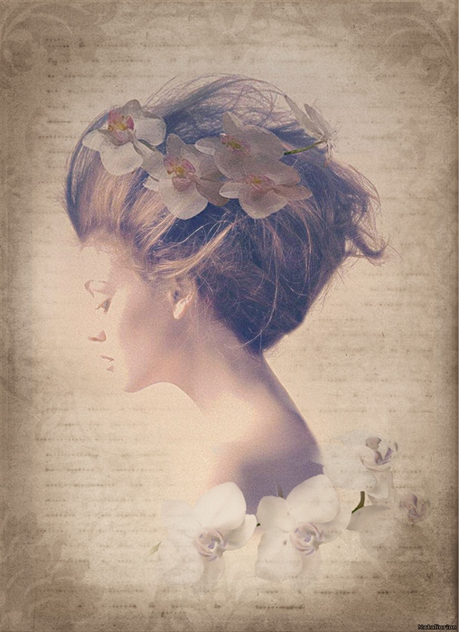 4312926_1110573 (508x700, 198Kb)