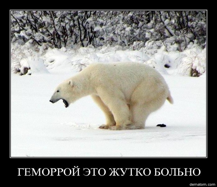 60398-gemorroi_eto_jutko_bolino (700x603, 96Kb)