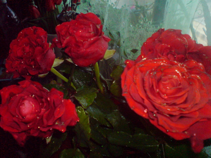 DSC01030 (700x525, 100Kb)