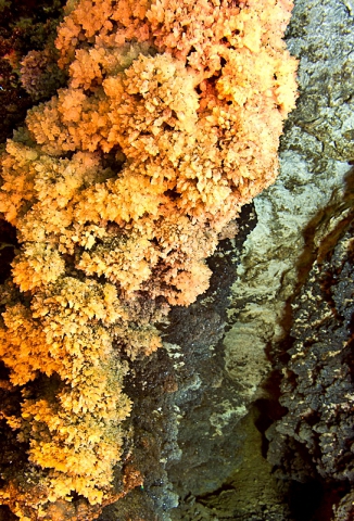 3869930_20466548 (326x480, 185Kb)