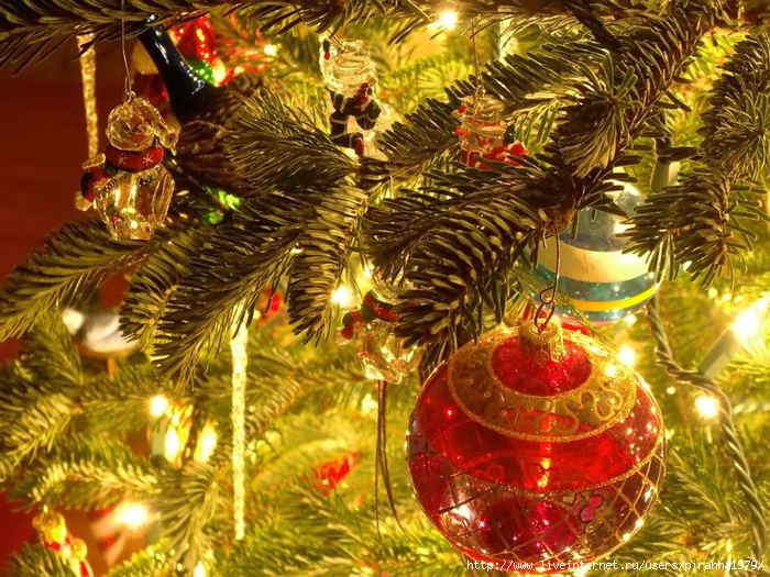 1932393_Christmas_Tree_Ornaments_1600x1200 (700x525, 304Kb)