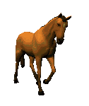 caballo_caminando (126x150, 24Kb)