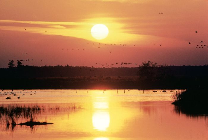 beautiful_sunsets_21 (500x300<br />
, 31Kb)