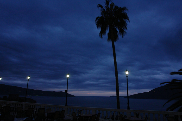 DSC05142 (700x466, 148Kb)