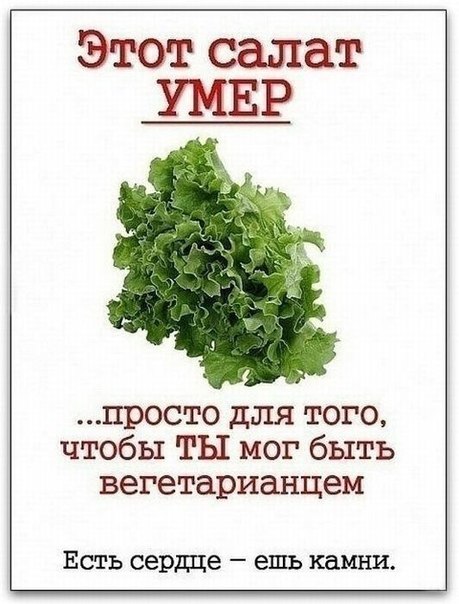 some salad (459x604, 61Kb)