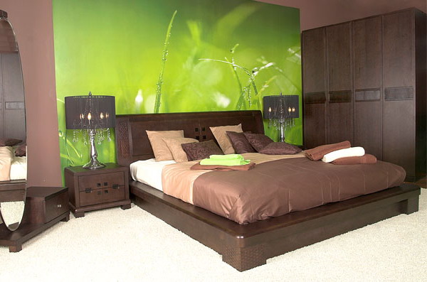 combo-green-and-brown-bedroom4 (600x397, 74Kb)